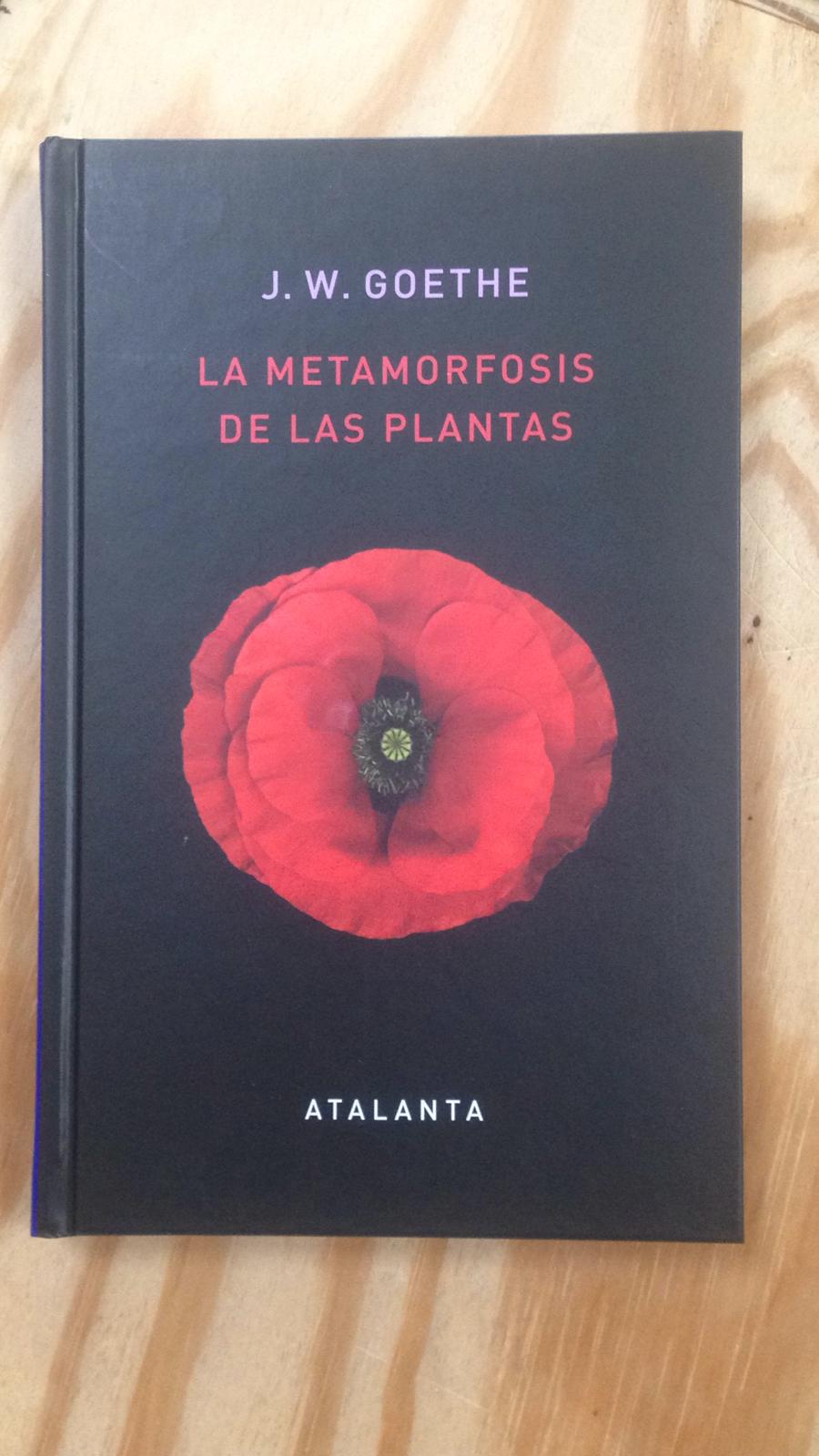 WhatsApp Image 2020-07-03 at 10.26.46